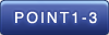 point1-3.png