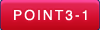 point3-1.png