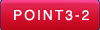 point3-2.png