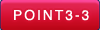 point3-3.png